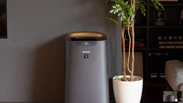 Thử Ngay Các Cách Sau Để Khử Mùi Sơn Cho Tường Nhà Mới Sơn