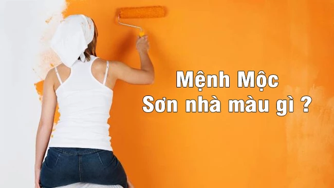 Người Mệnh Mộc Sơn Nhà Màu Gì Mang Lại Nhiều May Mắn Trong Năm 2024
